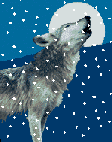 1228132402_111.gif