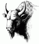 avatar_593_90x90.gif