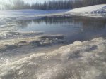 20170320_145030.jpg