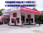 88ce3dfb0d196d47-large.jpg