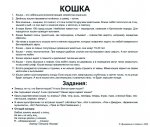 oborot-koshka.jpg