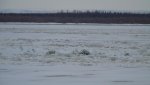 DSC01567.JPG