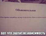5678780.jpg