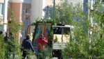 DSC01672.jpg