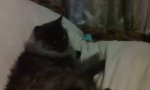 IMG_20171104_193751.jpg