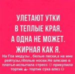 image (23).jpg