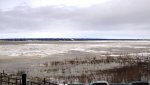DSC02134_1.jpg