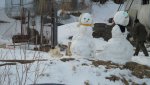 DSC02152_1.jpg
