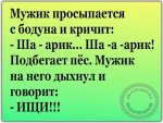 image (3).jpg