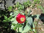 IMG_0368.JPG