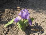 IMG_0543.jpg