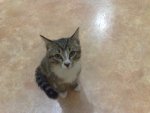 270620132096.jpg