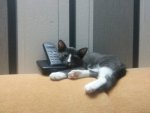 20130105_195740.jpg