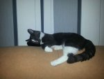 20130801_214443.jpg