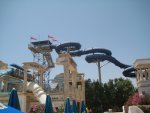 IMG_0454.jpg