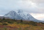 IMG_7042.JPG