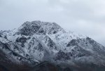 IMG_7065.JPG