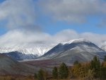 IMG_7238.JPG