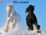 god_loshadi.jpg