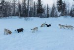 IMG_4615.jpg