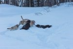 IMG_4634.jpg