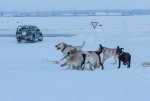 IMG_4659.jpg
