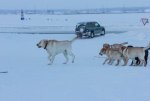 IMG_4663.jpg