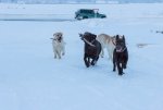 IMG_4665.jpg