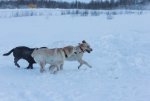 IMG_4674.jpg