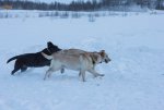 IMG_4675.jpg