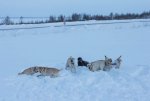 IMG_4685.jpg