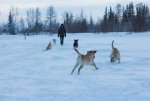 IMG_4699.jpg