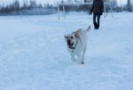 IMG_4736.jpg