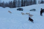 IMG_4842.jpg