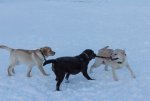 IMG_4858.jpg