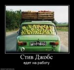 1364904473_1351603670_695144_stiv-dzhobs.jpg