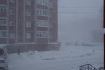 DSC01498.JPG