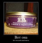 1321349615_683617_vot-ona.jpg