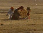 1379559638_018_23346_gifs_18.gif