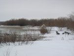 P1010691.JPG