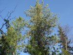 DSC07413.JPG