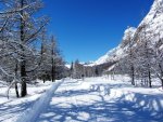 IMG_7993.JPG