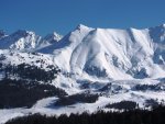 IMG_8861.JPG
