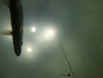 GOPR0464.MP4_snapshot_02.29_[2014.03.08_20.37.23].jpg