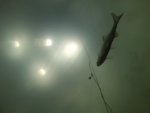 GP010464.MP4_snapshot_01.19_[2014.03.08_20.41.59].jpg