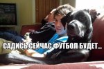 фпупкп.jpg