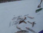 DSCN0063.JPG