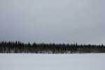 IMG_2888.JPG