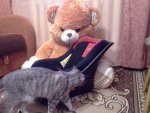 20140502_220612.jpg