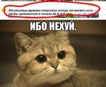 podborka_60.jpg